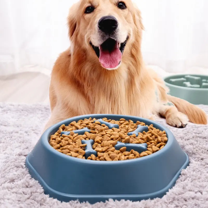 Alimentador Para Cães - IA De Ofertas